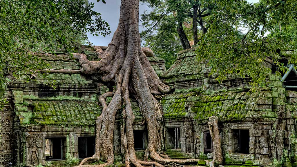 Vivir en Camboya