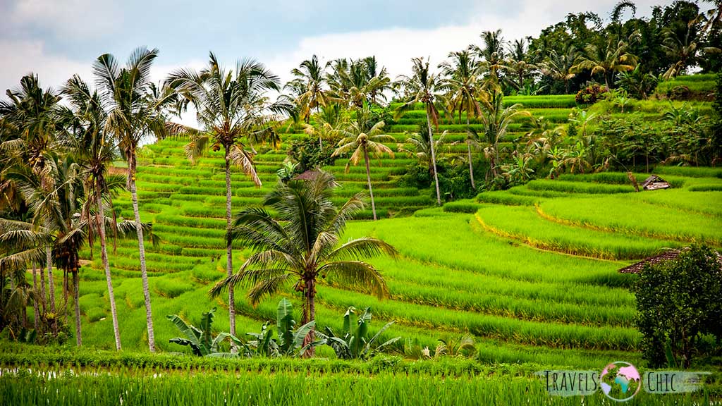 Bali uno de los destinos más populares donde viajar en verano
