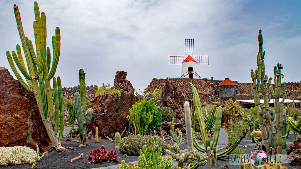 Jardín del Cactus