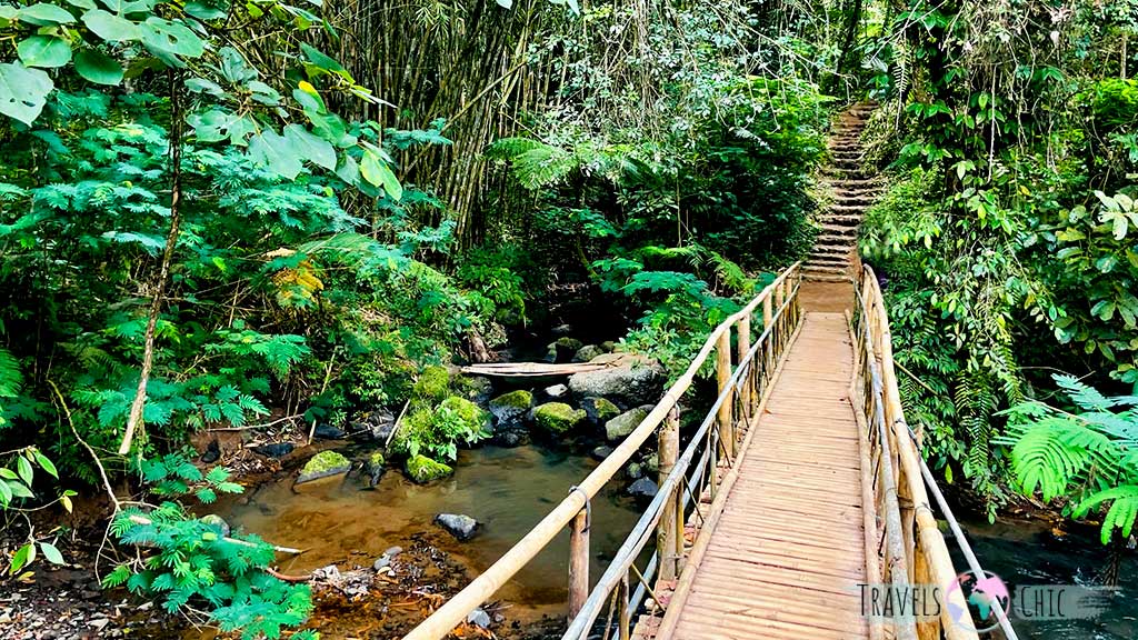 Ruta que hacer a las cascadas de Bali