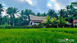 Hoteles en Bali