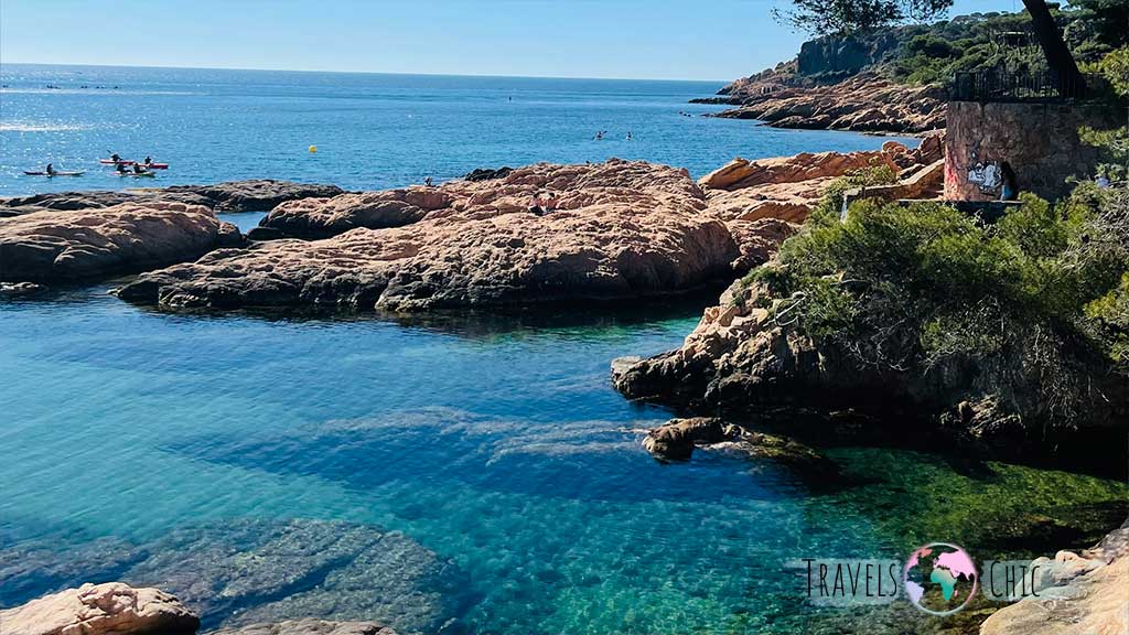 Playa para perros s'Agaró