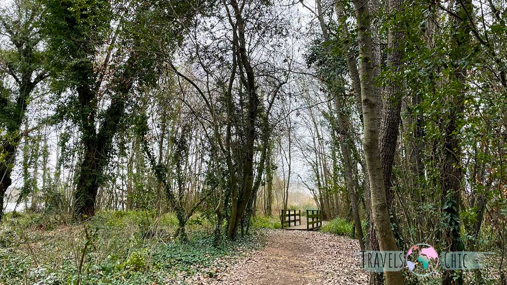 Camino bordeando el lago de Bañolas