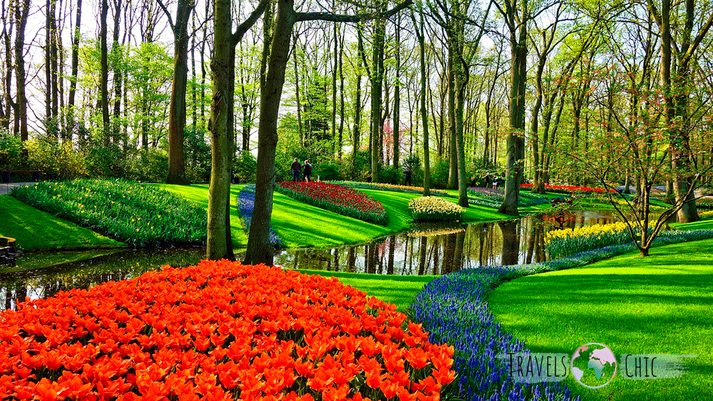 Jardin de tulipanes en Keukenhof