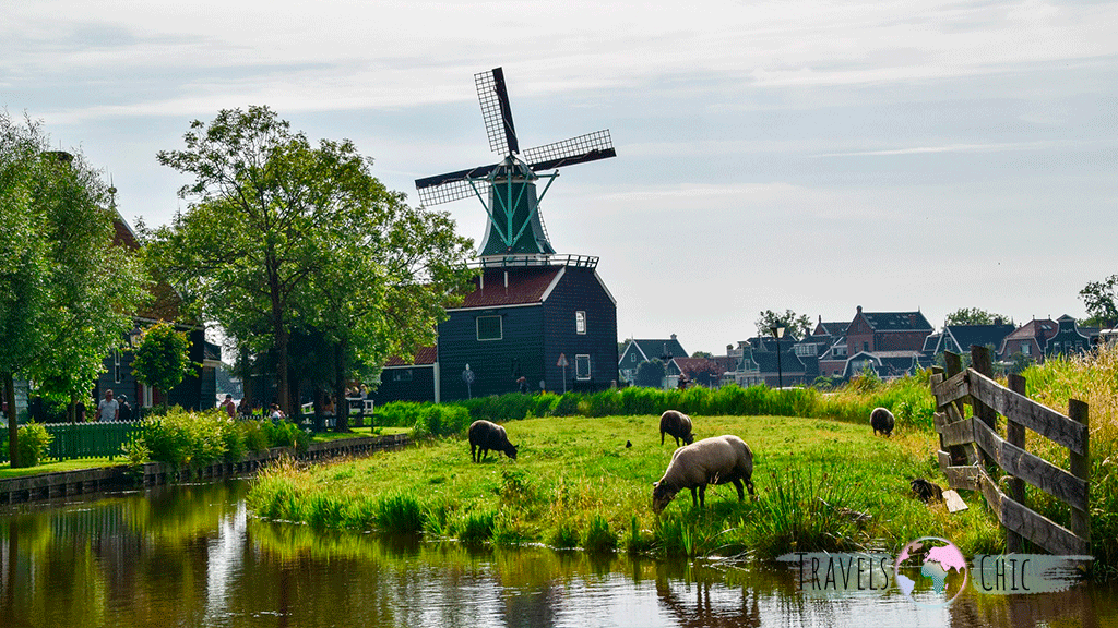 Zaanse Schans desde Amsterdam