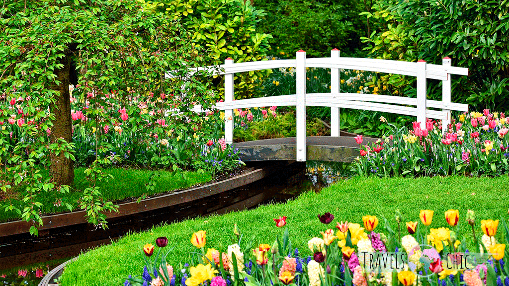 Keukenhof gardens with main attractions
