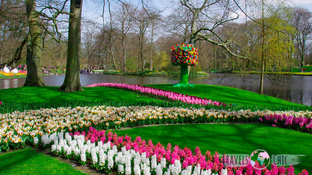 Colorful tulip fields at Keukenhof in spring.