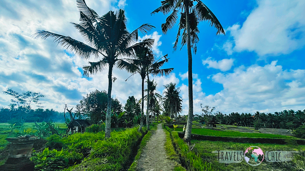 Caminos secretos de Bali