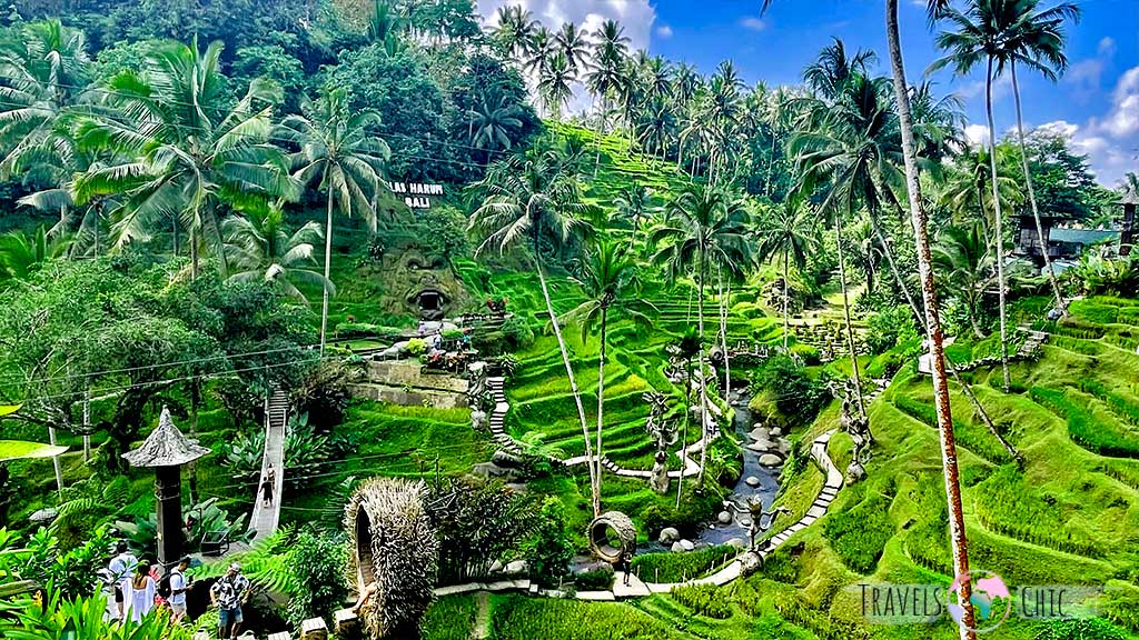 Campos de arroz de Bali en agosto