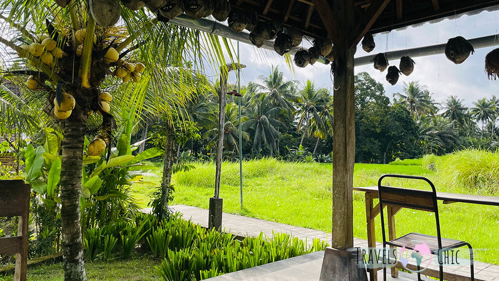 Local de zumos naturales en Bali