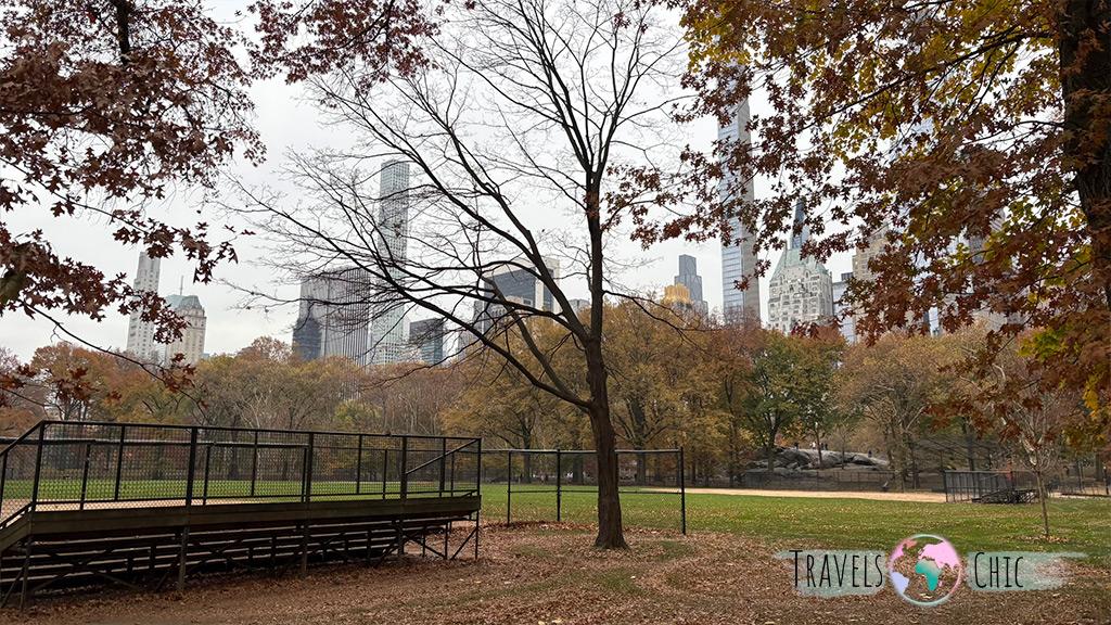 Beisbol Central Park Nueva York