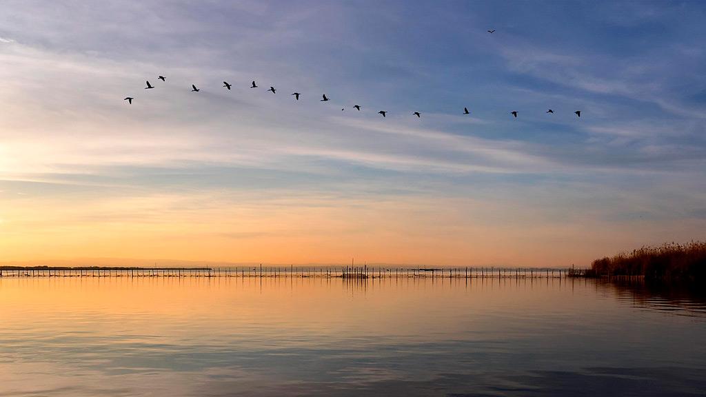 La albufera de Valencia 