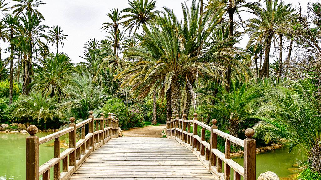 El Palmeral de Elche