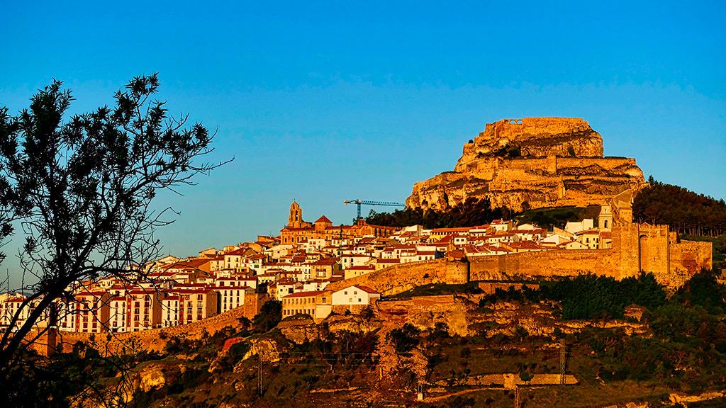 Morella