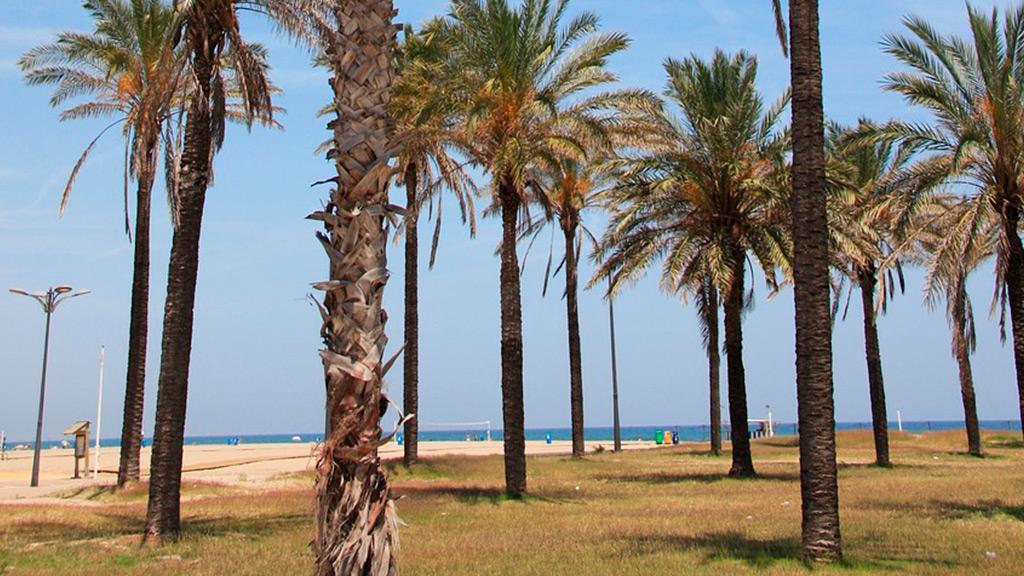 Playa de la Patacona