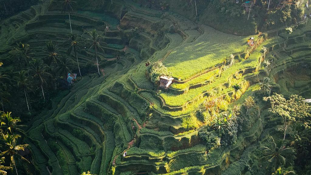 Bali, uno de los destinos más populares para viajar en verano