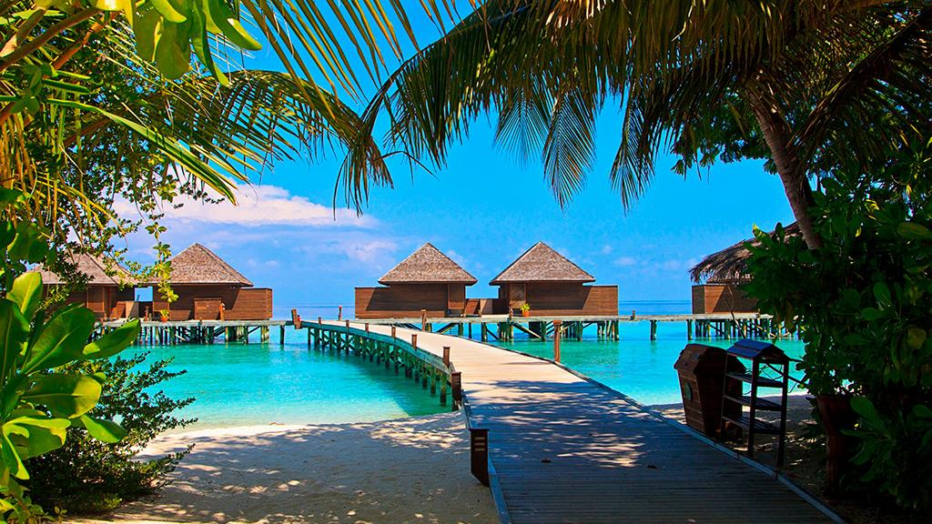 Dónde viajar en verano 2026