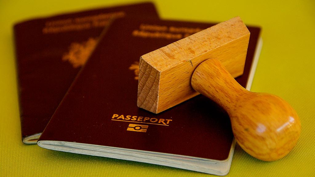 Requisitos para viajar con mascotas en Europa